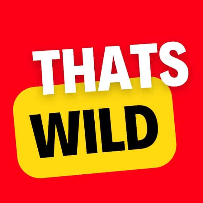 Wild