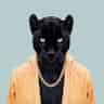 Avatar of Panther TV Channel