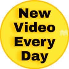 Avatar of New Videos Every Day