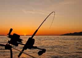 Avatar of Teach a man to fish