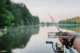 Avatar of A fish story