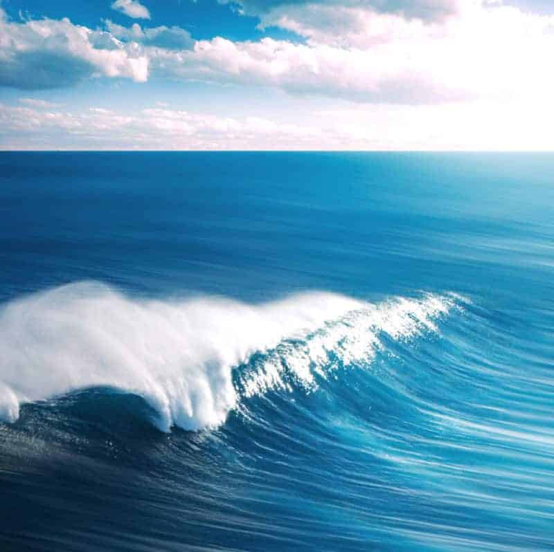 Avatar of Fresh Blue