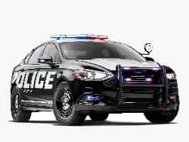 Police Activity