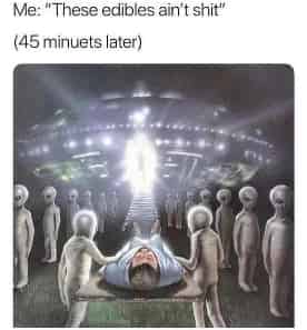 theothersarehere