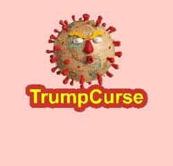 Avatar of TrumpCurse 