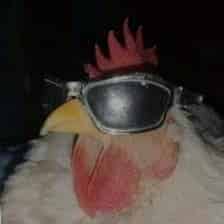 Avatar of Imemezplug