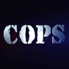 Cops In Action