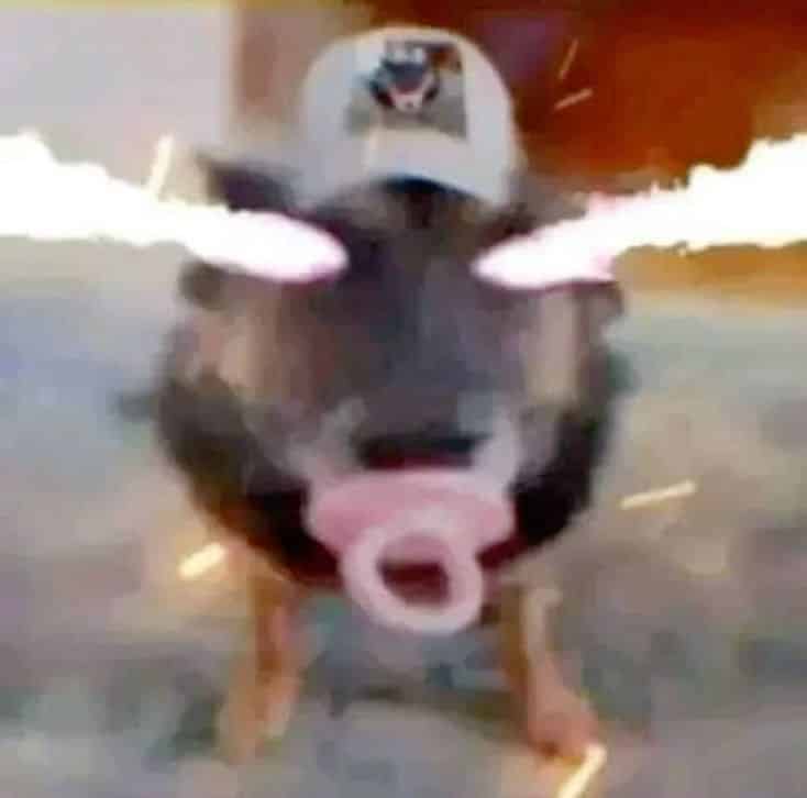 Avatar of Burger