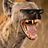 RealHyena