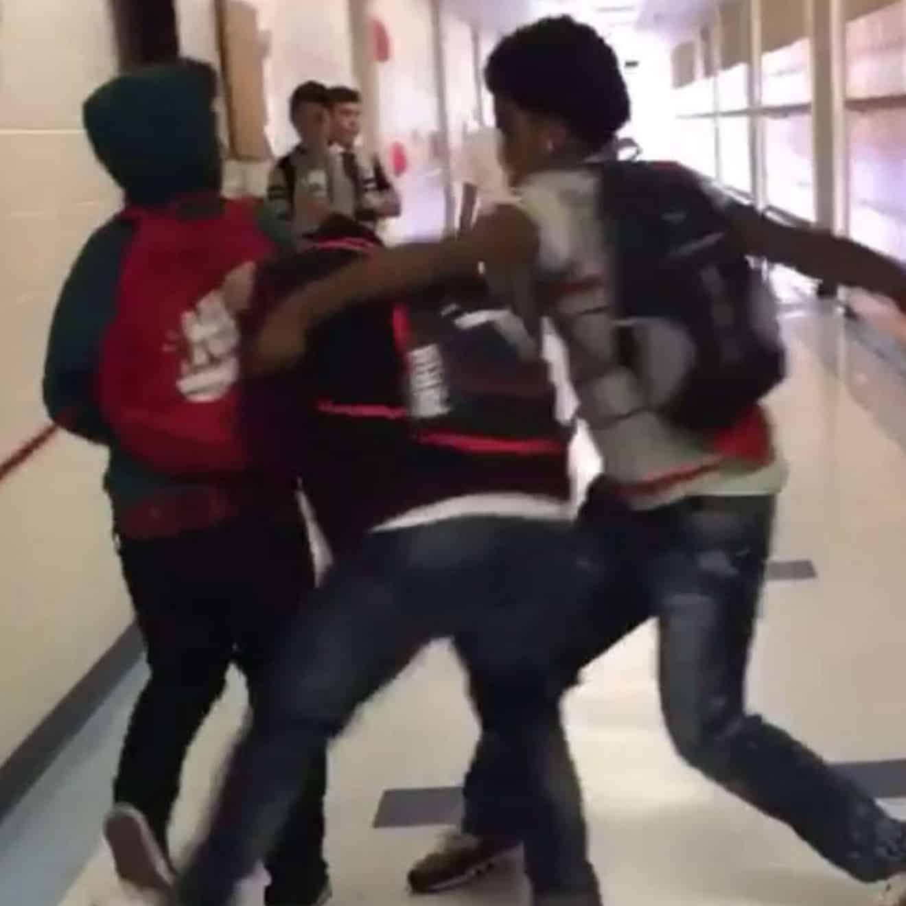 Avatar of SchoolFightsHS