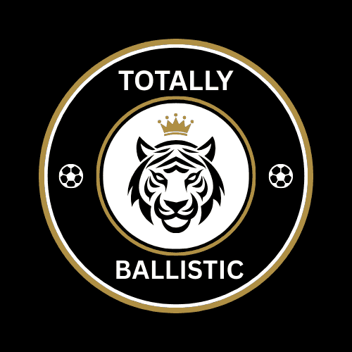 Avatar of Totally Ballistic  @darkmaga365
