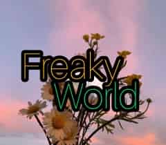 Avatar of FREAKY WORLD 