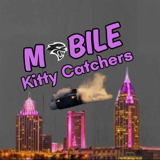 Avatar of mobilekittycatchers
