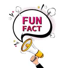 Avatar of Fun to fact