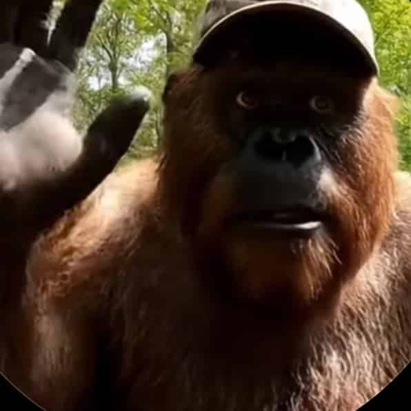 Avatar of bigfeetvlogs