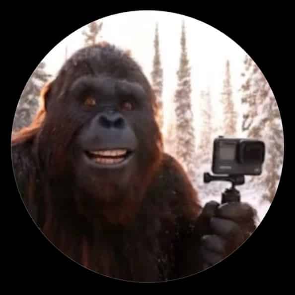 Avatar of bigfootboyz