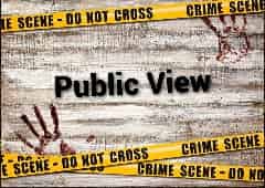 Avatar of Public View