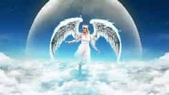 Avatar of friendly angel