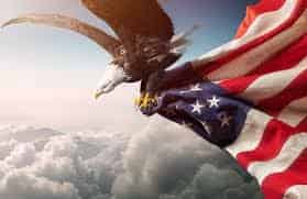 Avatar of Patriots 🦅