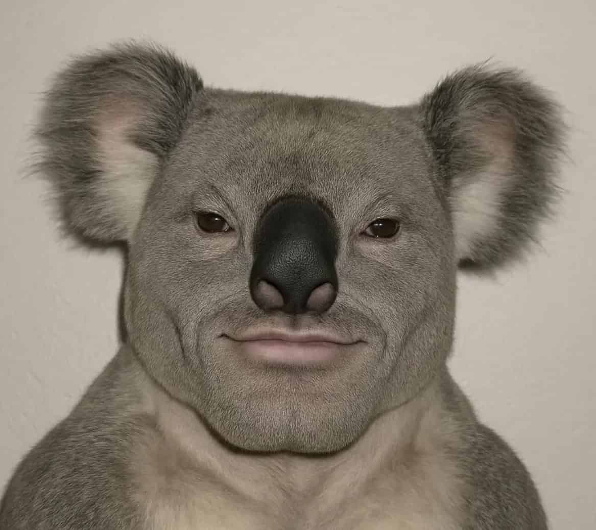 Avatar of Smiggy Baby