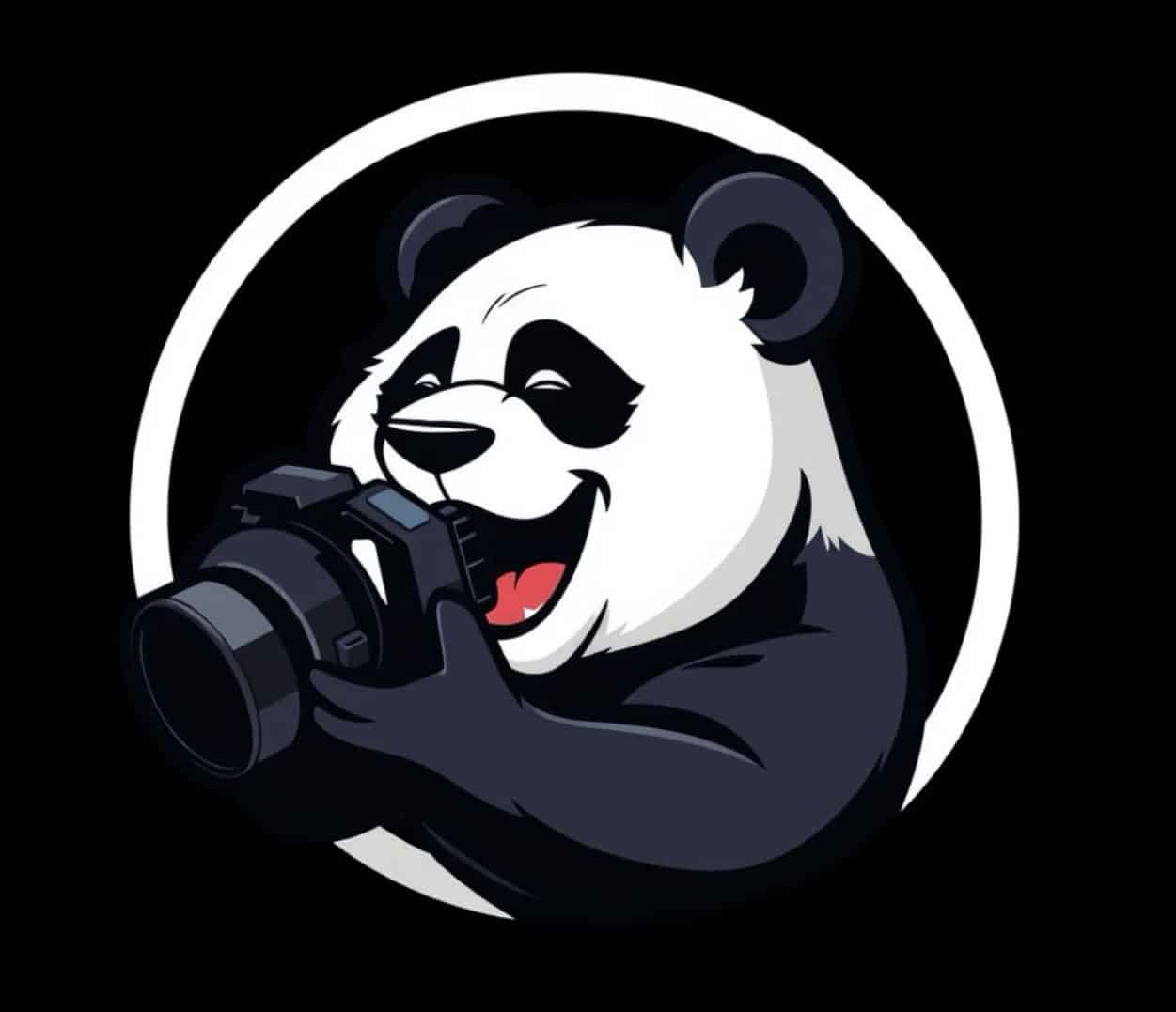 Avatar of Panda🐼