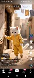 Avatar of Tom ok 