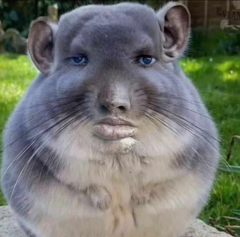 Avatar of ItGetsWicked