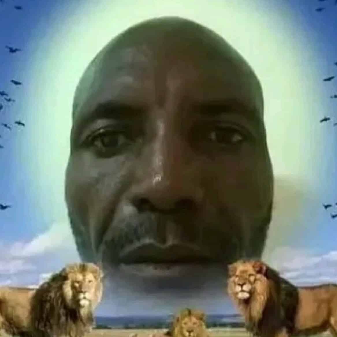 Avatar of STRAIGHTFIGHTZ