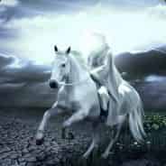 Avatar of Aaron Reed