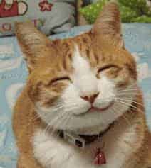 Avatar of oby