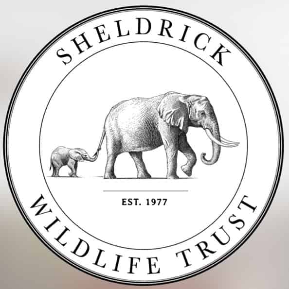Avatar of SHELDRICK WILDLIFE