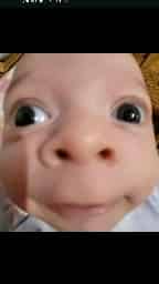 Avatar of LOL Hub