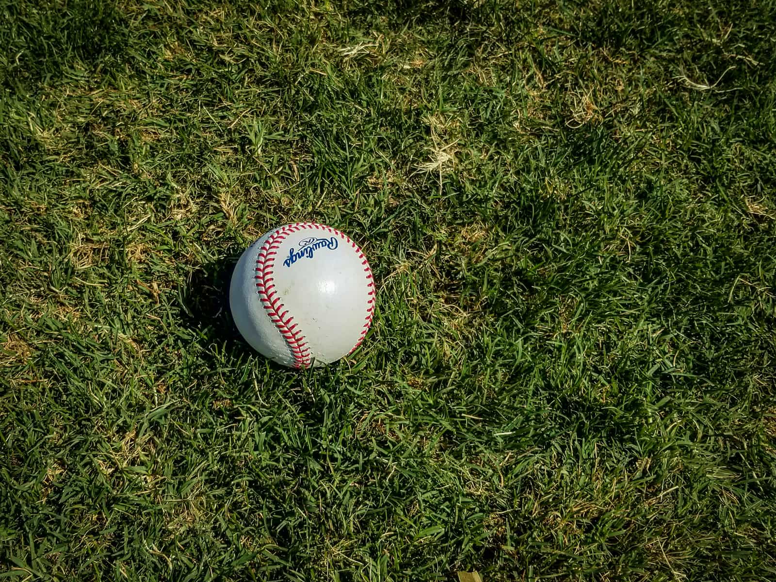 circle cover for Baseball- Step up to the plate in BaseballCircle—the ultimate community for MLB fans and baseball lovers everywhere! From clutch home runs and jaw-dropping highlights to news, fan stories, and even youth league moments, this is your ballpark for everything America's pastime.