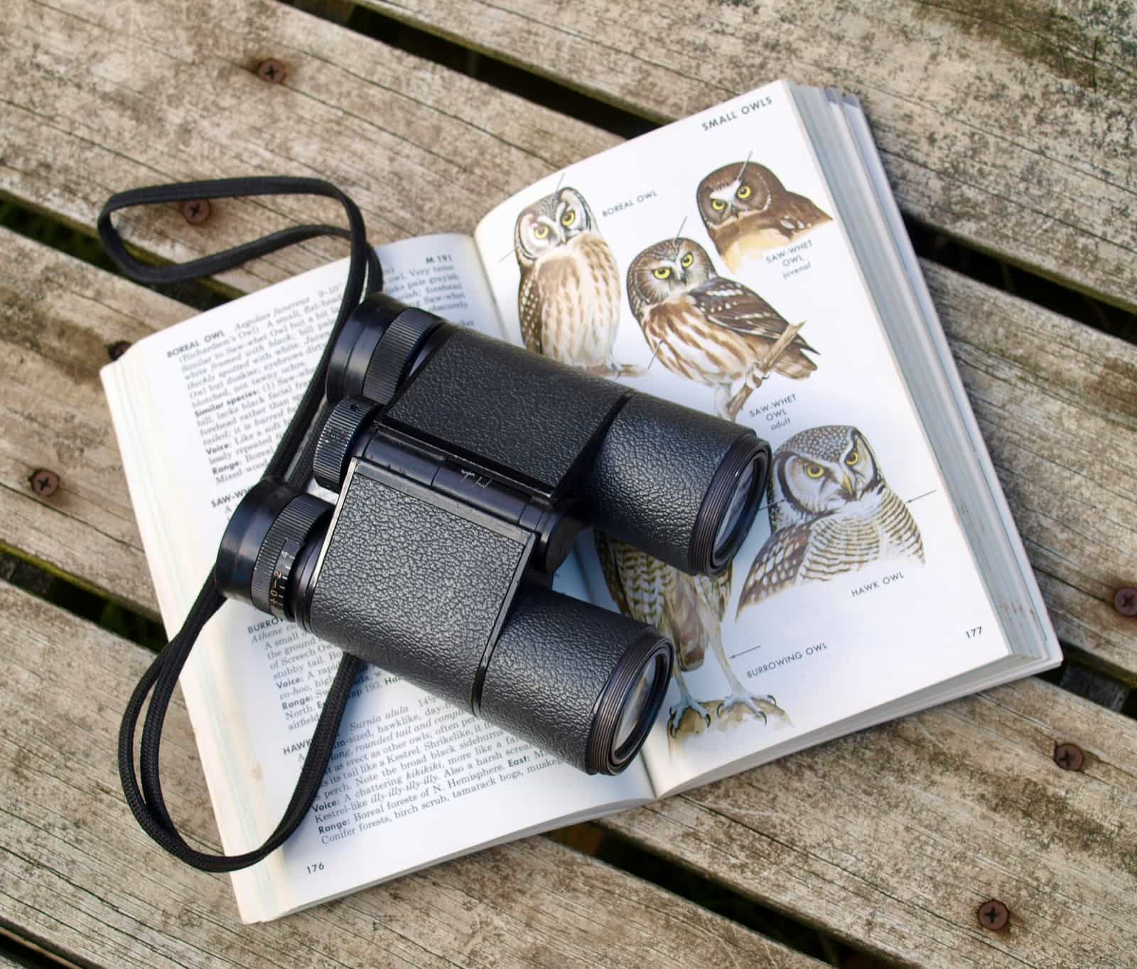 circle cover for BirdWatching- Whether you call it birding, birdwatching, twitching, or listing—if you love observing or listening to birds, this is your Circle! From rare sightings and backyard feeders to field trips and hilarious bird moments, share your avian adventures and tips with a flock of fellow enthusiasts.
