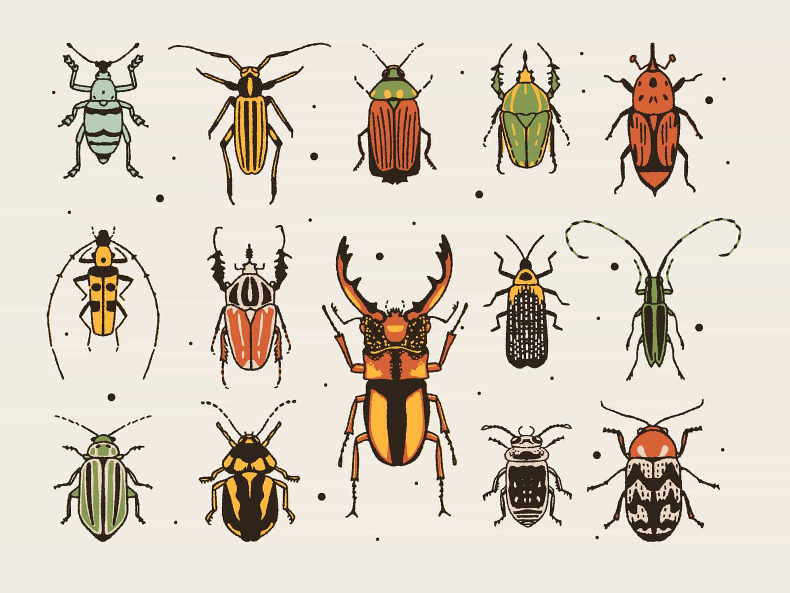 circle cover for BugsAndInsects- Welcome to BugsAndInsects—the Circle for bug enthusiasts, macro photographers, and anyone fascinated by the tiny world around us! Share wild finds, incredible bug art, ask for identifications (with location!), showcase macro videos, and spark discussions about all things insect. Respect nature, stay curious, and get buggy!