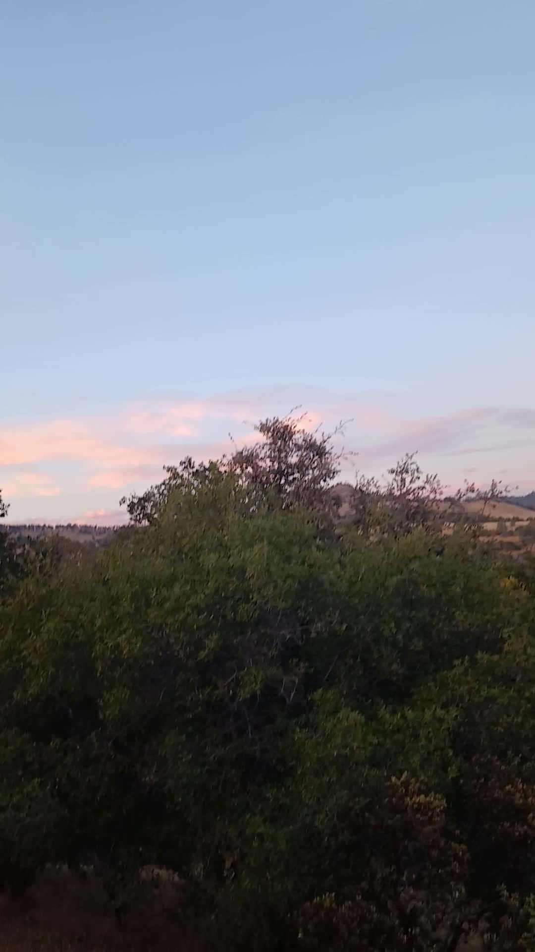 Cover for My View 🥰