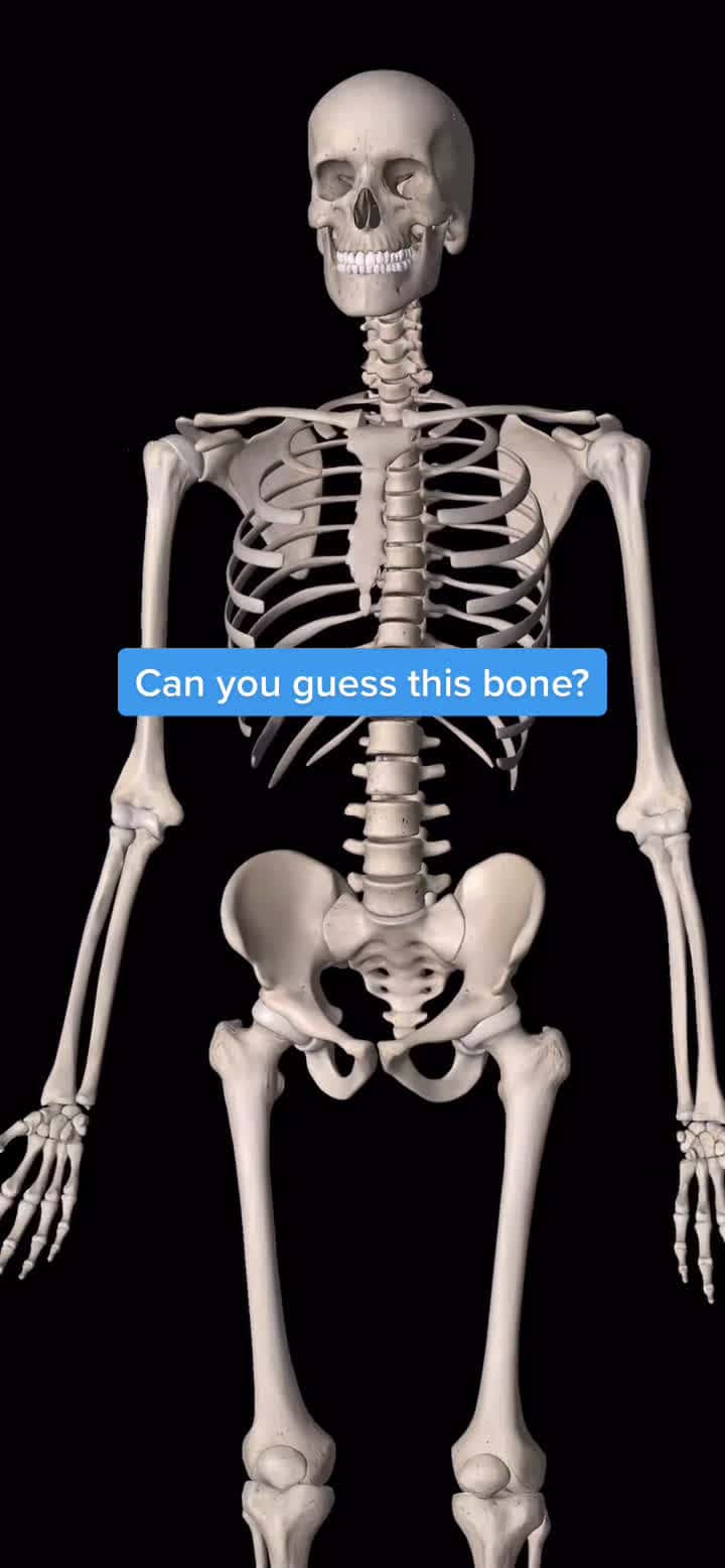 Cover for Guess this bone #physio #physiomike #test #foryoupage #fypシ