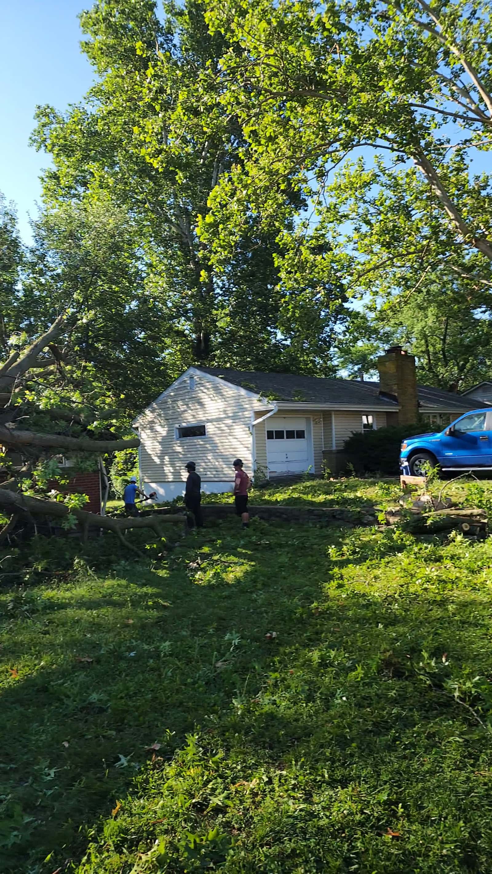 Cover for Emergency Tree Removal!!! Kansas City | Emergency tree removal by Family Tree Service. 
