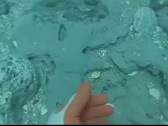 Cover for diver finds ancient gold coins worth 1 million 🤯