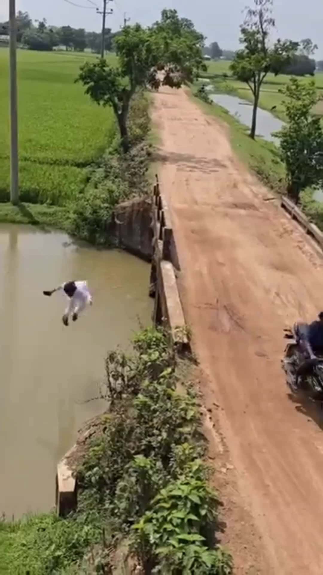 Cover for 🤣🤣