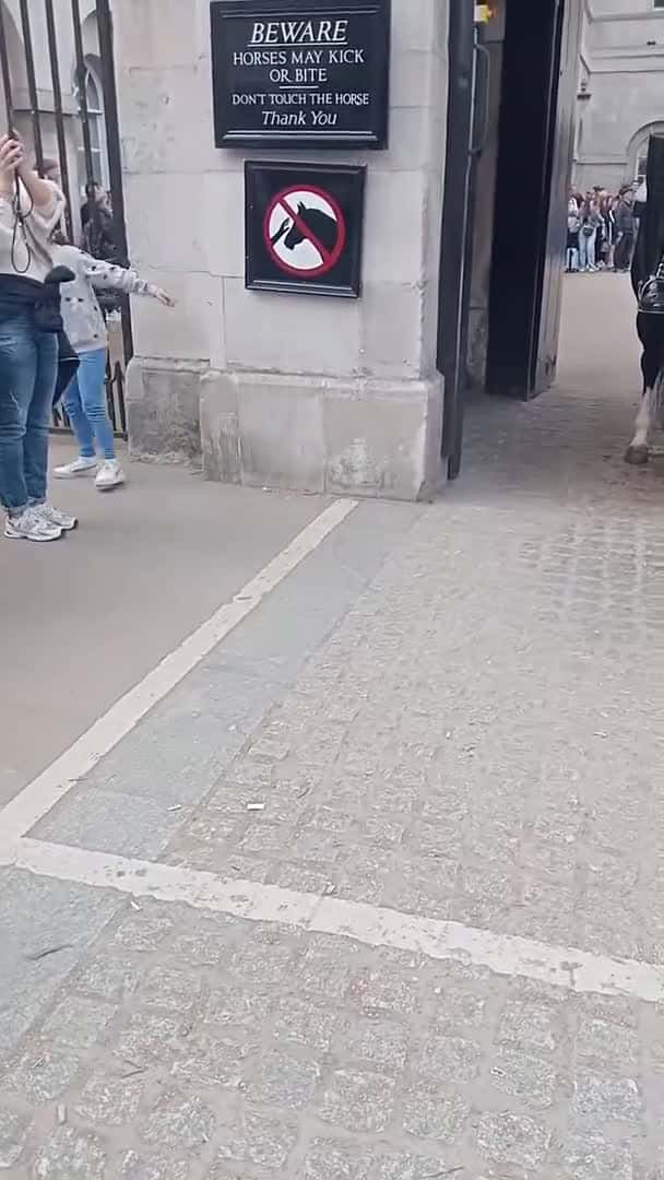 Cover for Dude, that white box is clearly plotting world dominance, but she's too busy living her best life.