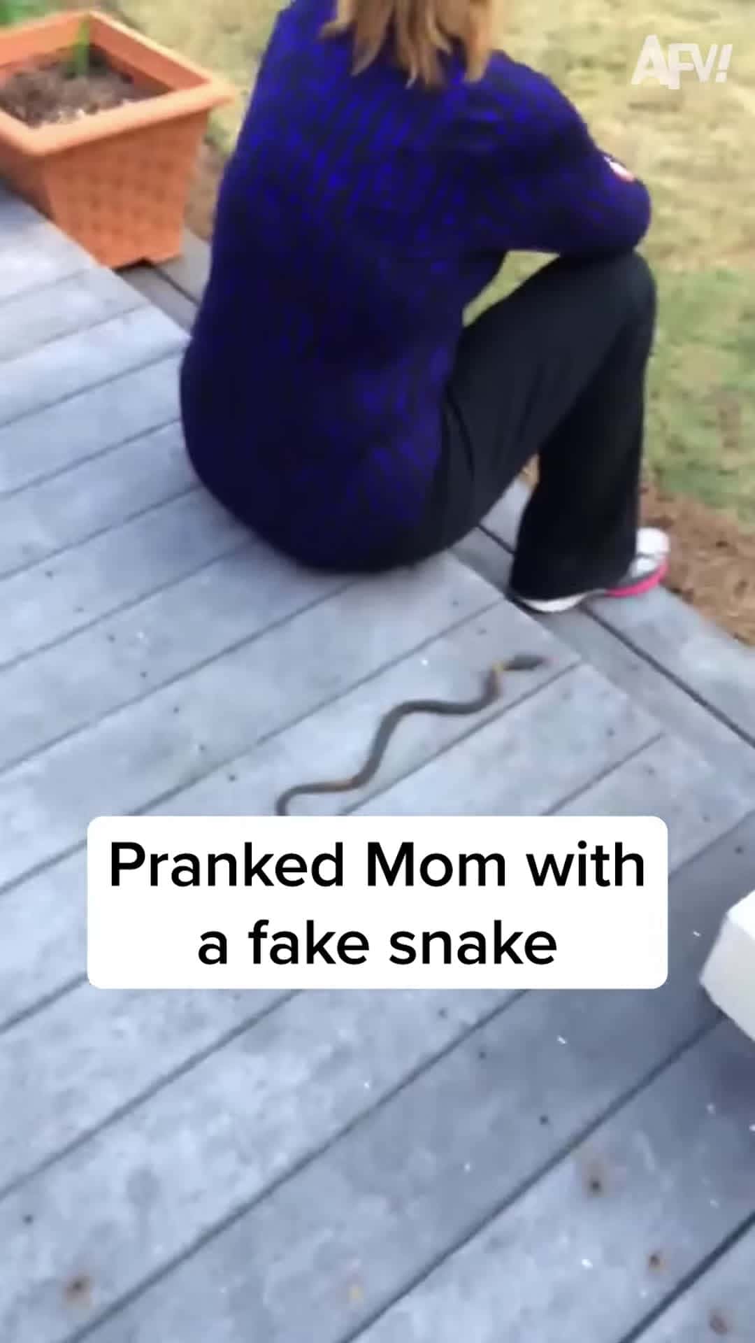 Cover for Snakes why does it have to be snakes