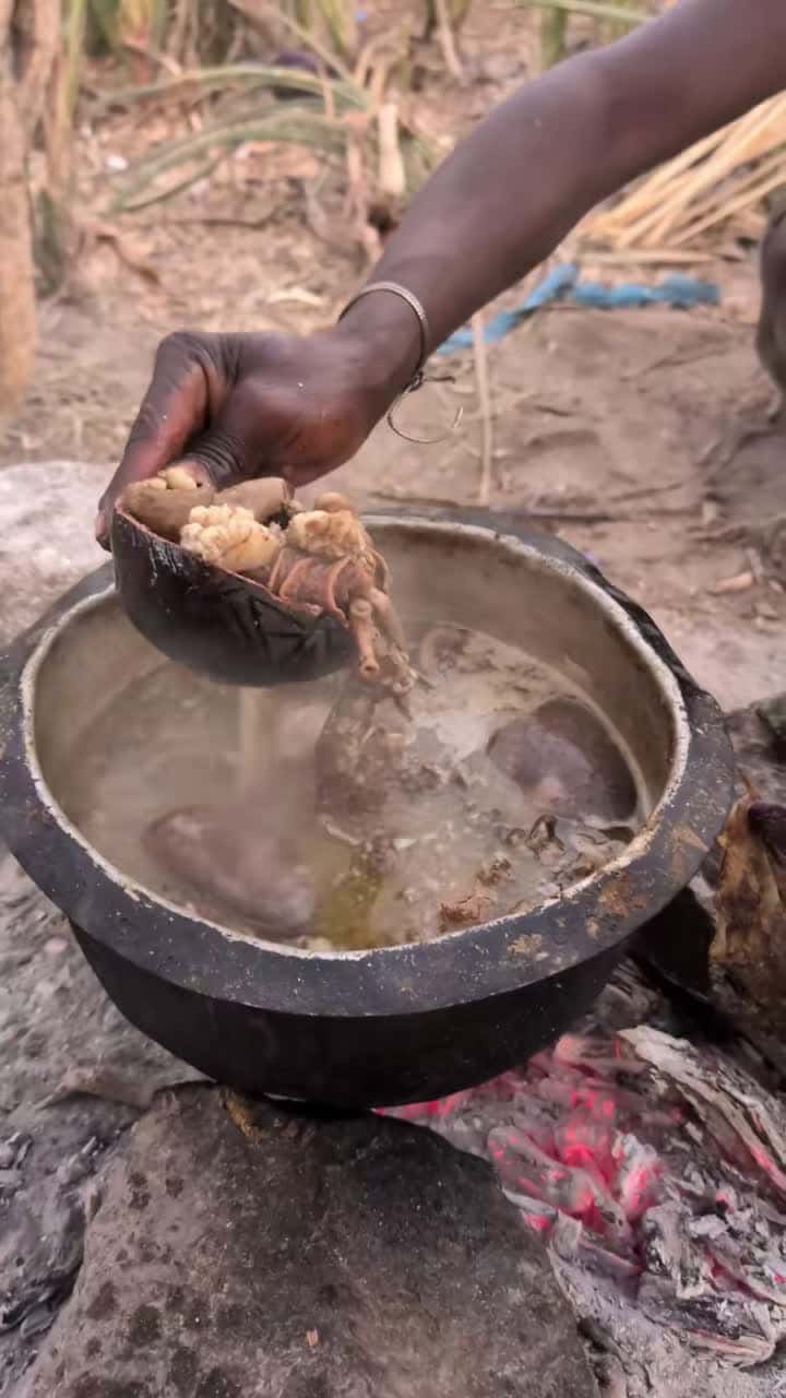 Cover for Wow That's incredible delicious soup cooked middle of nowhere 😋‼️🤤#hadzabetribe #tiktokindia #africastories #USA #UK