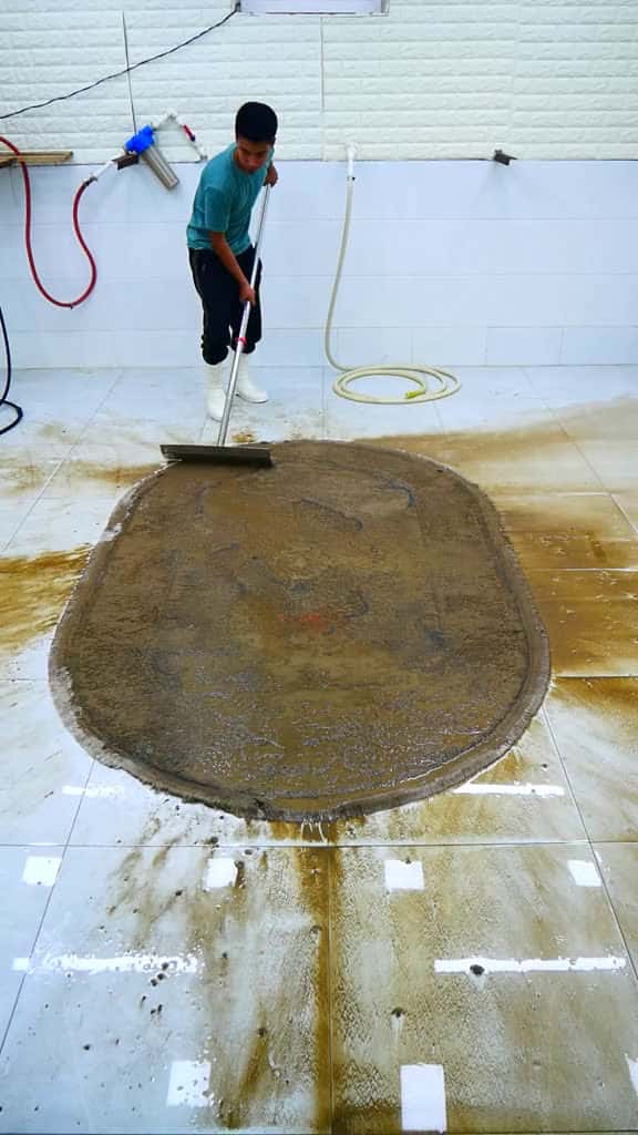 Cover for Amazing Mould Infested Rug Restoration asmr satisfying soclean 16880 #trending