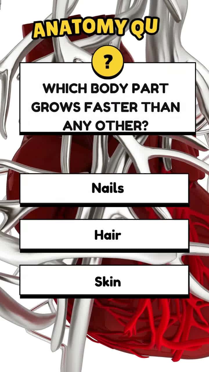 Cover for Anatomy quiz!#quiz  #quiztime  #quizchallenge  #usatiktok  #foryoupage #trending #learnontiktok  #knowledge  #trivia  #english  #anatomy  #medicine  #doctor  #nurse  #greysanatomy