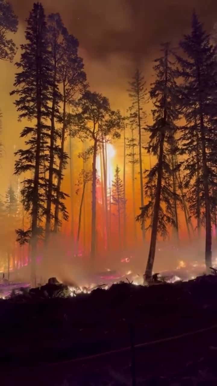 Cover for 🔥 UTAH’S BURNIN’ — MONROE CANYON FIRE JUMPS THE LINE 🔥That beast blew past Bear Valley Rd and made a run at Hwy 24 — crews lit it up right off the asphalt tryin’ to hold it back. She’s at 55,642 acres now… and still just 7% con