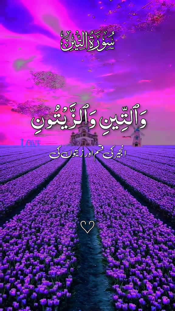 Cover for quran quranicquotes islamicreminders islamicreelsvideo growmyaccount quran islamicquotes q 38463 #trend