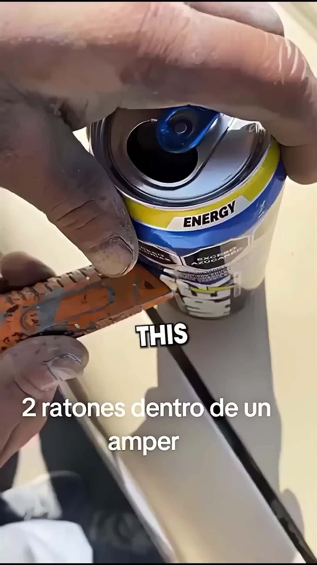 Cover for Never Buy Canned Drinks 😰 #scoopzanimalvideo 