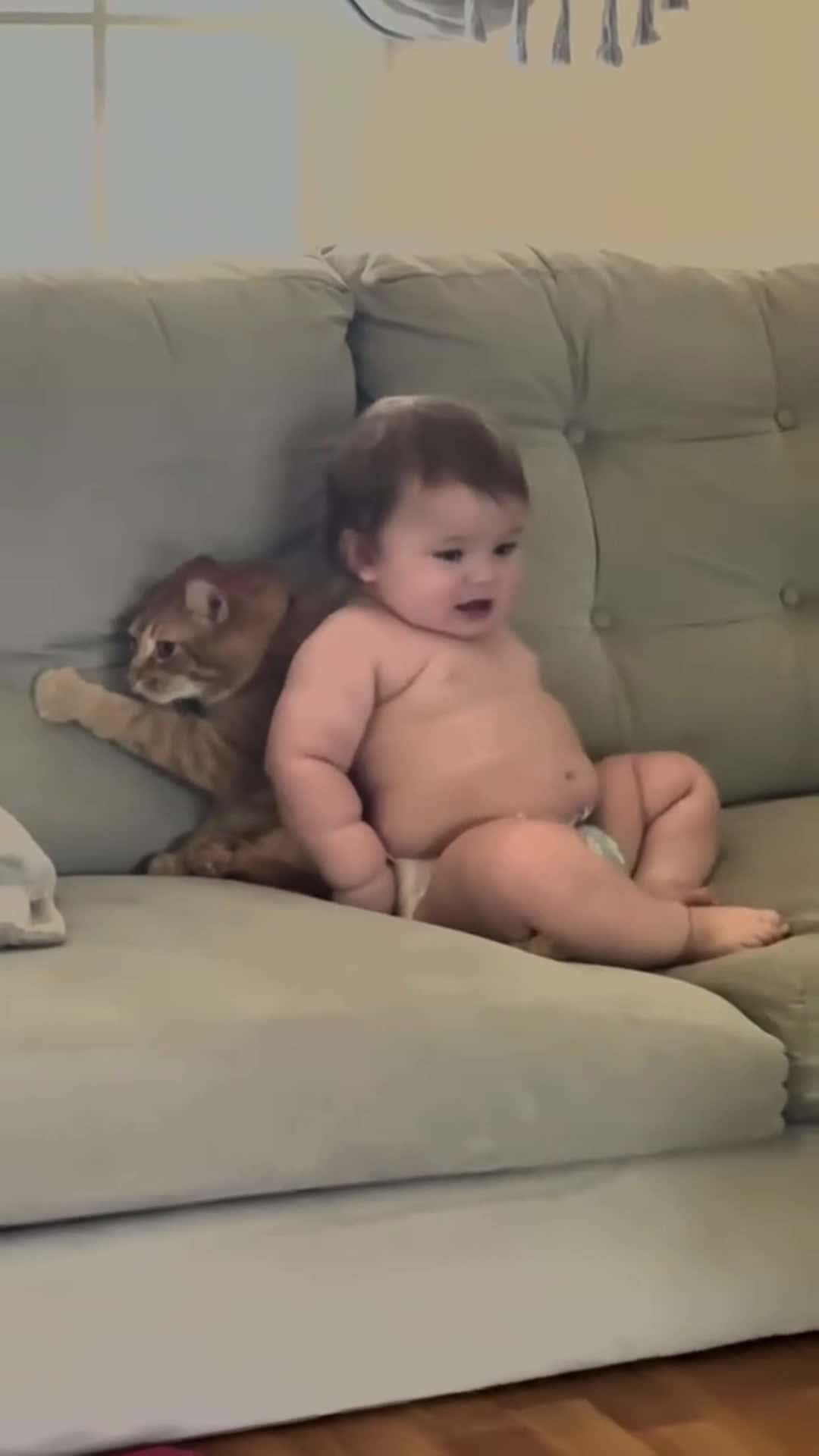 Cover for Poor Cats  #baby #babiesoftiktok  #babytok  #fyp #babylove 