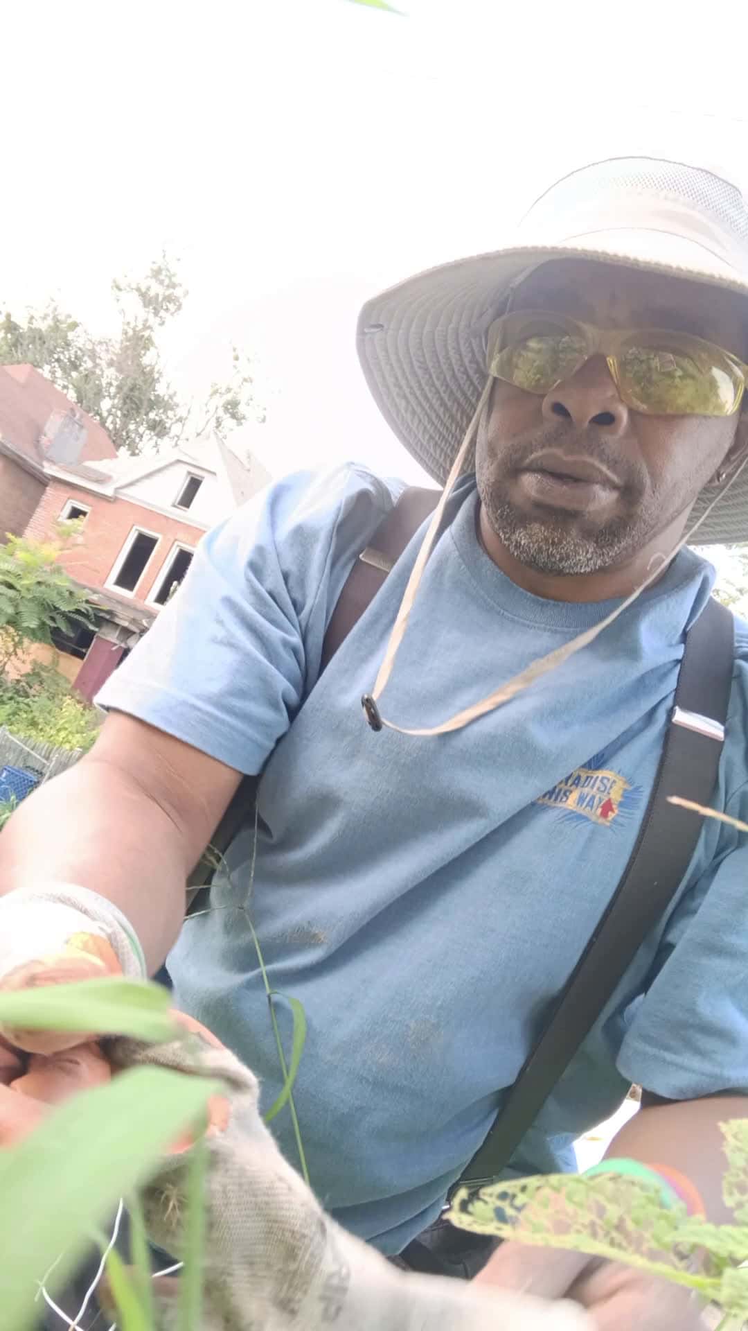 Cover for My Crops Pt3:Correction: Radishes & Cucumbers Not Greens & Zucchinis 😂 My Apologies: #GoWithGod #FinishStrong #GoWithGodMinistry